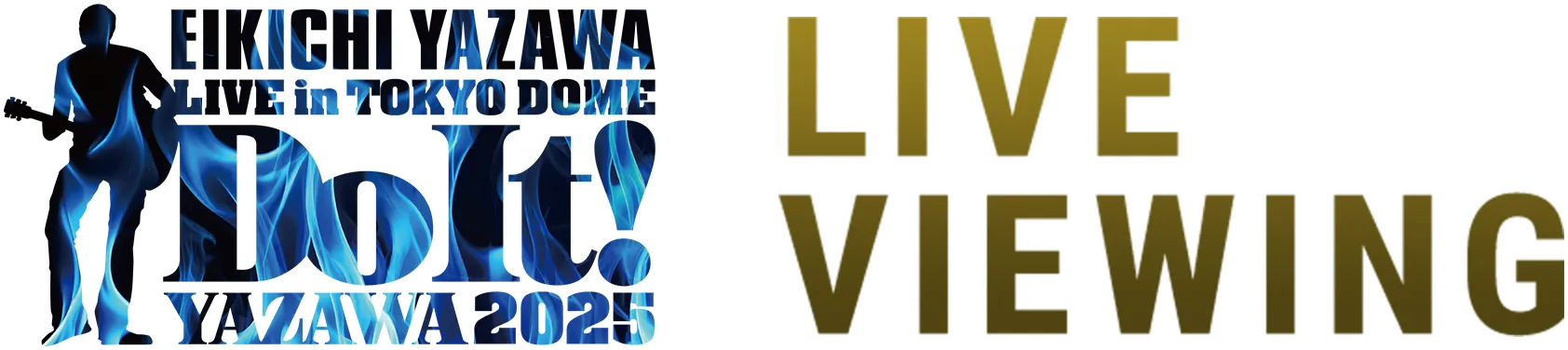 EIKICHI YAZAWA LIVE in TOKYO DOME Do It! YAZAWA2025