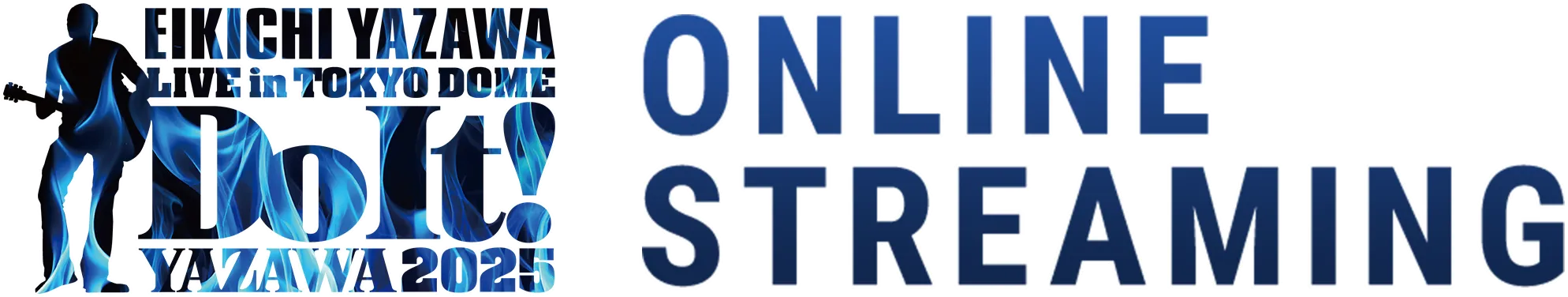 EIKICHI YAZAWA LIVE in TOKYO DOME Do It! YAZAWA2025